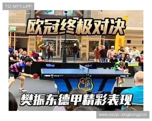 德甲体育-最新动态：德甲乒乓球联赛常规赛结束_新浪新闻